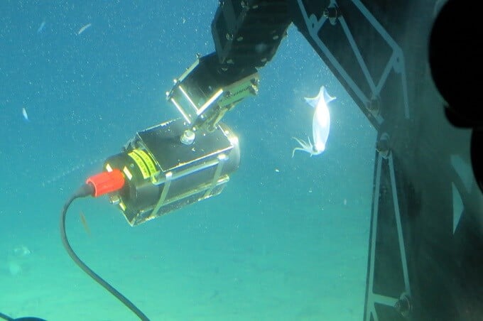 7月16日放送 NHK ディープ・オーシャン「南極 深海に巨大生物を見た」で使用の4Kカメラを紹介。│4KテレビLife